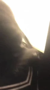 暖恋心尖小说